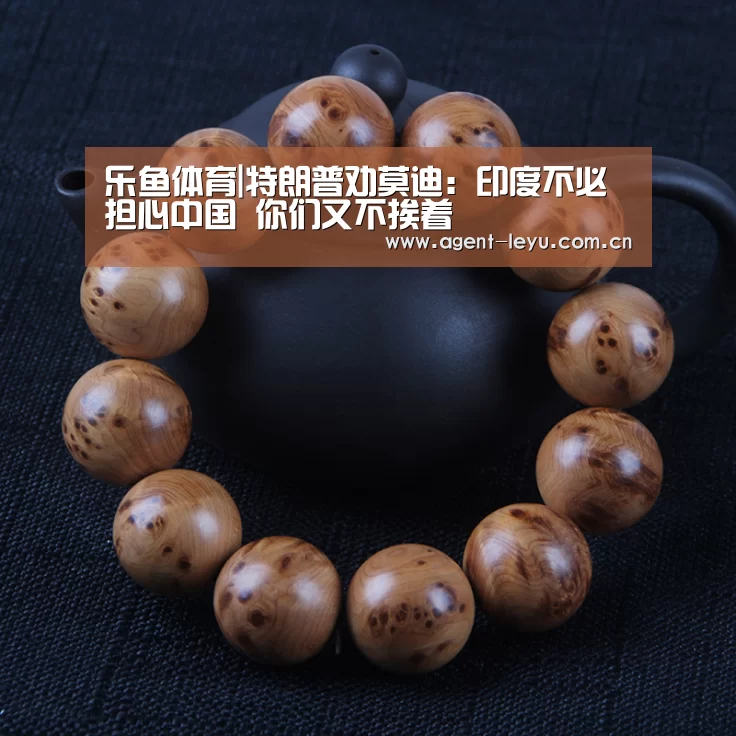 乐鱼体育链接