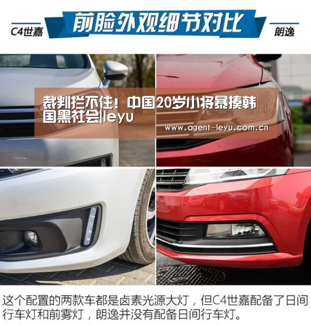 乐鱼体育
