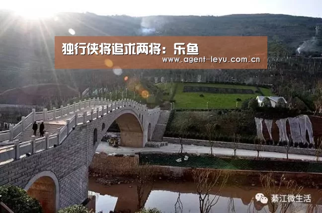 乐鱼体育链接